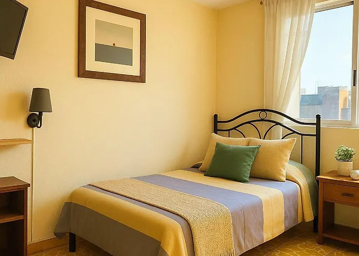 Los Nardos Hostel -pet friendly- Oaxaca