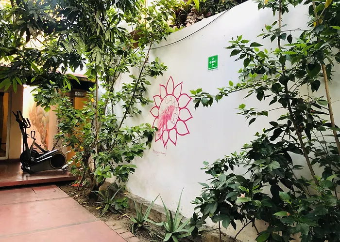 Los Nardos Hostel -pet friendly- Oaxaca